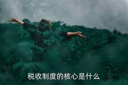 稅收制度的核心是什么