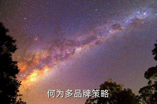 什么是多策略，何為多品牌策略