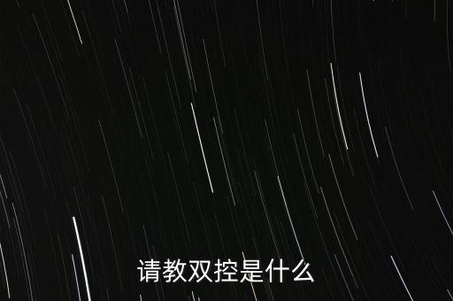 請(qǐng)教雙控是什么