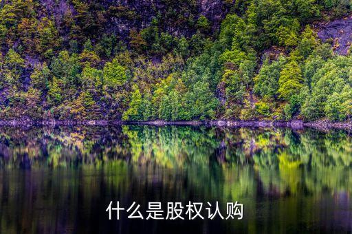 股權(quán)認(rèn)籌是什么，什么是股權(quán)眾籌