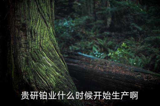 貴研鉑業(yè)什么時(shí)候停牌，600331停牌幾天