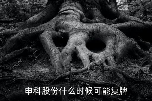 300097股什么時候復牌，申科股份什么時候可能復牌