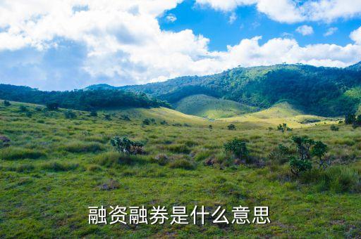 融資融券是什么意思