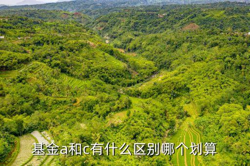 c基金是什么，什么叫VC基金
