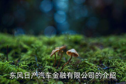 東風(fēng)日產(chǎn)汽車(chē)金融有限公司的介紹