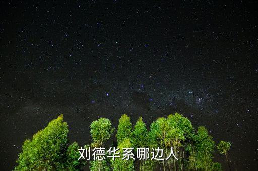 劉惠祥大埔什么地方人，劉德華系哪邊人