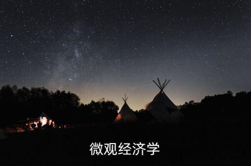 微觀經(jīng)濟(jì)學(xué)