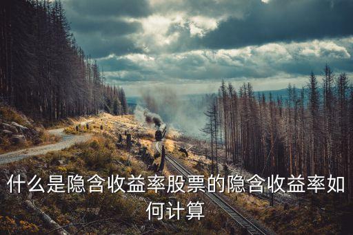 亞普汽車什么時(shí)候上市，誰知道隱含收益率是咋的回事的啊