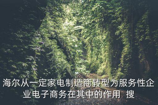 海爾轉(zhuǎn)型做什么了，海爾從一個(gè)家電制造業(yè)轉(zhuǎn)型為服務(wù)業(yè)電子商務(wù)的作用是什么