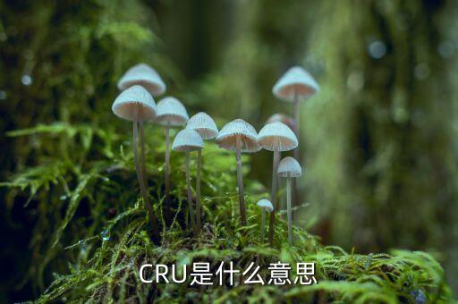 CRU是什么意思
