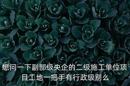 央企二級公司經(jīng)理是什么級別，央企比如移動 電信 聯(lián)通 中石油石化 這些企業(yè)縣的老總是什么級別