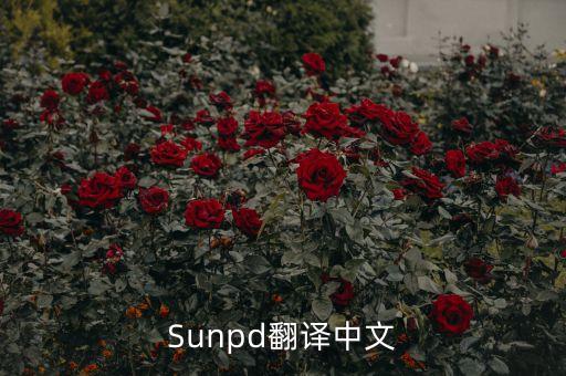 sun同上什么意思，Sunpd翻譯中文