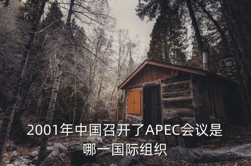 中國舉行合作論壇首次論壇是什么，論壇是什么