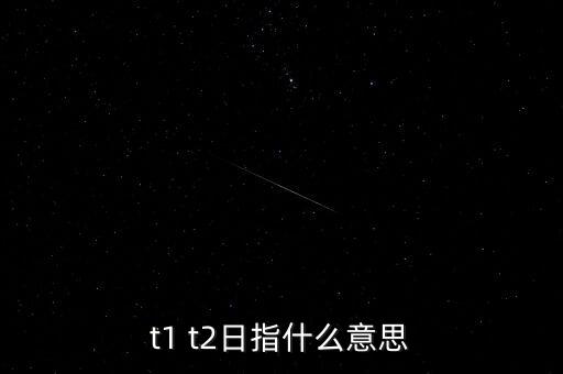 南北車(chē)t日是什么意思，t1 t2日指什么意思