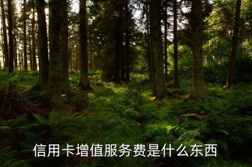 信用卡增值服務(wù)是什么，交行信用卡的增值服務(wù)