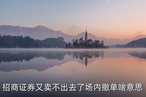 什么是場內，電影劇本中的一場戲指的是什么意思謝謝