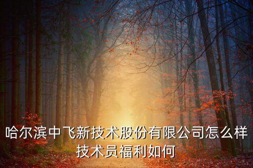 中飛股份公司做什么的，哈爾濱中飛新技術(shù)股份有限公司怎么樣技術(shù)員福利如何