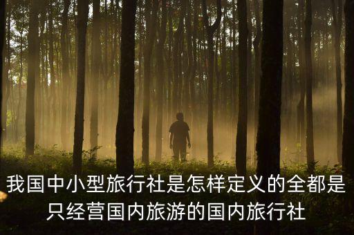 什么是中小型旅行社，為什么要對中小型旅行社進(jìn)行研究