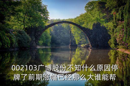 廣博股份什么時候復(fù)牌，002103廣博股份不知什么原因停牌了前期漲幅已經(jīng)那么大誰能幫