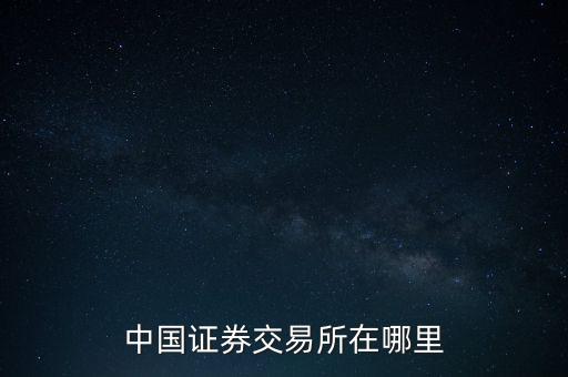 中國證券交易所在哪里