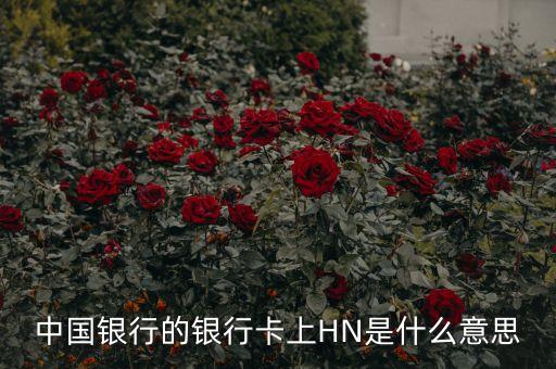中國銀行n是什么意思，中國銀行的銀行卡上HN是什么意思
