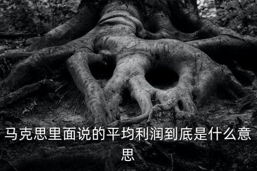 馬克思里面說(shuō)的平均利潤(rùn)到底是什么意思