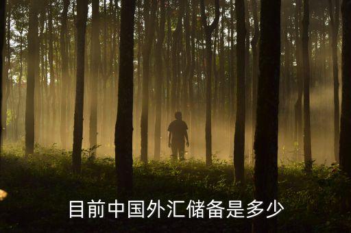 我國(guó)外匯儲(chǔ)備包括什么，我國(guó)外匯儲(chǔ)備