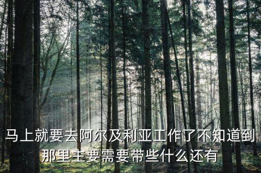 在阿爾及爾可以買什么，回國買啥阿爾及利亞