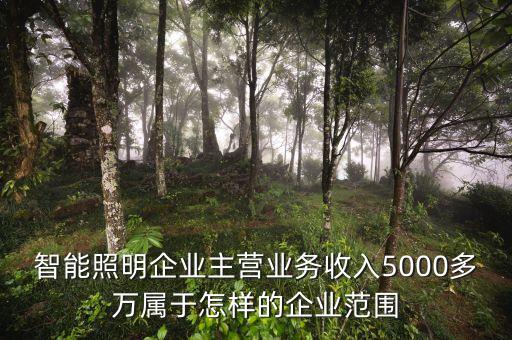溫州宏豐主營什么，請問凈利率的公式計算是凈利潤主營業(yè)務 還是主營業(yè)務還加其他也