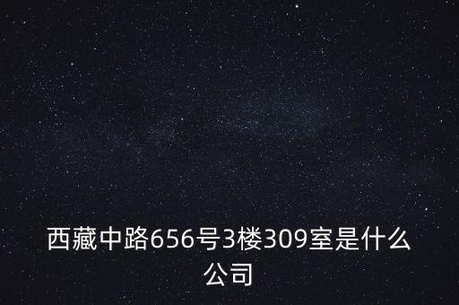 西藏中路656號(hào)3樓309室是什么公司