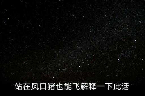 站在風(fēng)口豬也能飛解釋一下此話