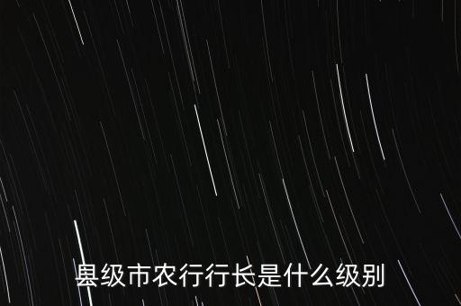 地方農(nóng)行行長什么級別，農(nóng)業(yè)銀行的支行行長是正科級還是副科級