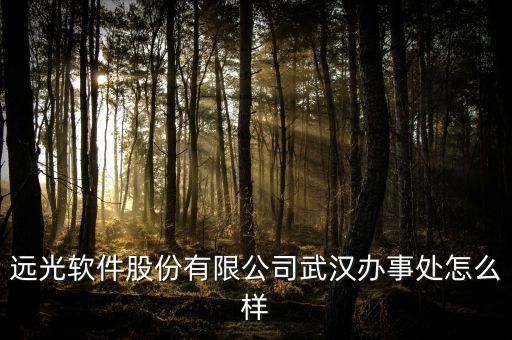 遠(yuǎn)光軟件股份有限公司武漢辦事處怎么樣