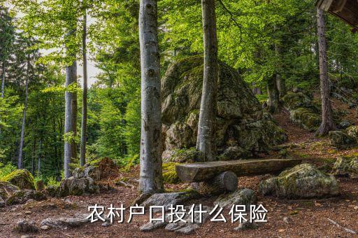 農(nóng)村買的保險(xiǎn)是什么保險(xiǎn)，農(nóng)民需要買什么保險(xiǎn)