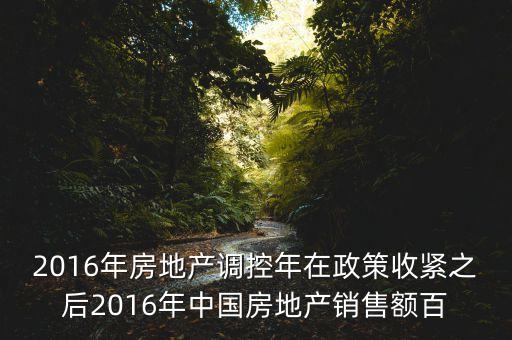 2016房市下一步還能出什么政策，2016年房地產(chǎn)調(diào)控年在政策收緊之后2016年中國房地產(chǎn)銷售額百