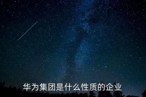 華為集團(tuán)是什么性質(zhì)的企業(yè)