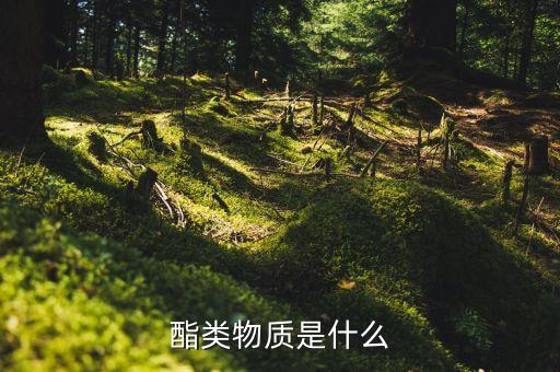 酯類(lèi)物質(zhì)是什么