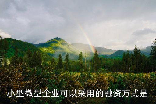 小型微型企業(yè)可以采用的融資方式是