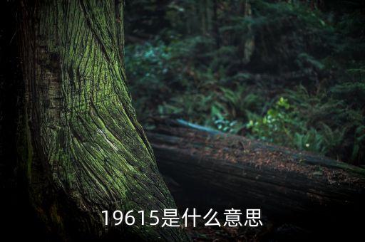 150035是什么，65520是什么意思