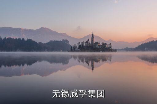 無錫威孚集團