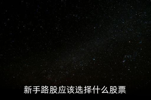 新手路股應(yīng)該選擇什么股票