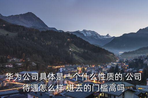 華為公司是什么性質企業(yè)，華為集團是什么性質的企業(yè)