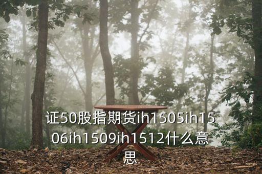 上證1511和1512什么意思，證券if1512是什么意思