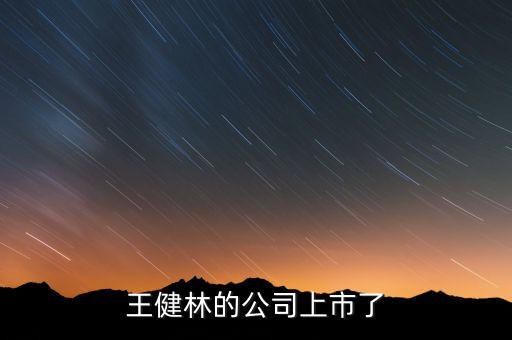 王健林的公司上市了