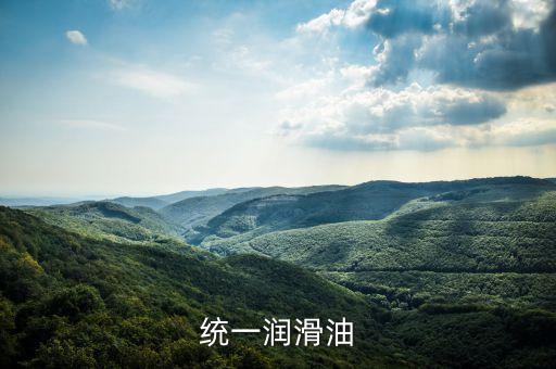 霍氏為什么賣(mài)統(tǒng)一潤(rùn)滑油，統(tǒng)一潤(rùn)滑油