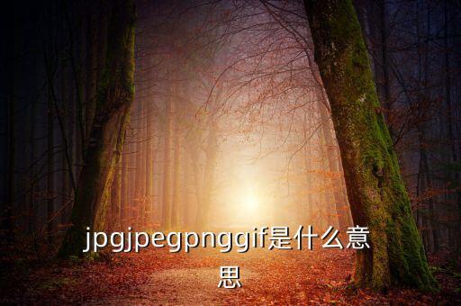 什么是代價比率，JPG文件會有病毒嗎