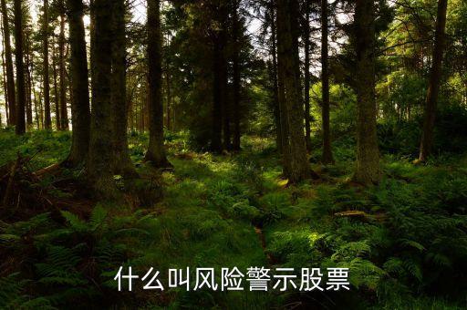 什么叫風(fēng)險警示股票