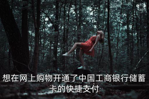 想在網(wǎng)上購物開通了中國工商銀行儲蓄卡的快捷支付