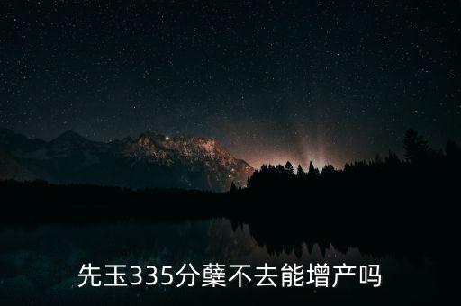 先玉335產(chǎn)量為什么低，先玉335分蘗不去能增產(chǎn)嗎