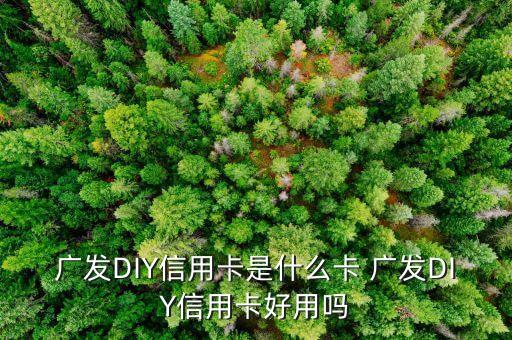 什么是diy信用卡，廣發(fā)DIY信用卡是什么卡 廣發(fā)DIY信用卡好用嗎